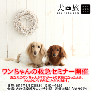 ワンちゃんの予防医学セミナー、救急セミナー @ 犬旅倶楽部サロン